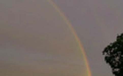 �����������Ĳʺ����������