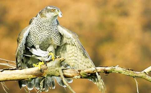 �n������700��