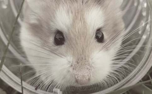 �}���^����ӛ���ģ�ͨ��18ƪ��