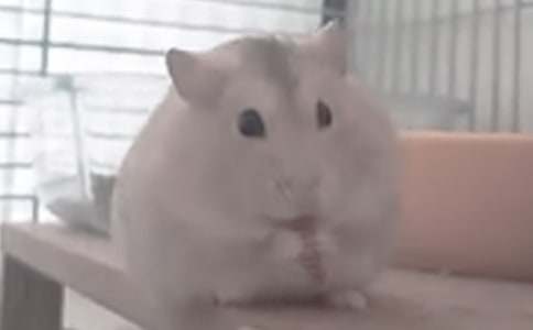 �ҵ�С�}��������ƪ