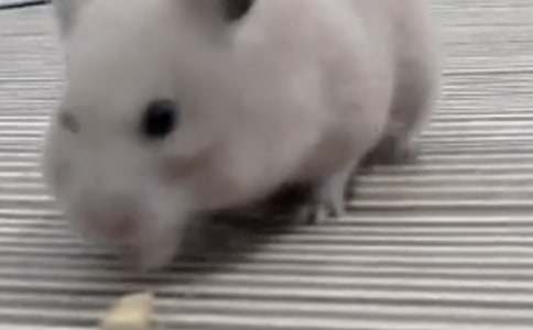 �}��һ���H700������