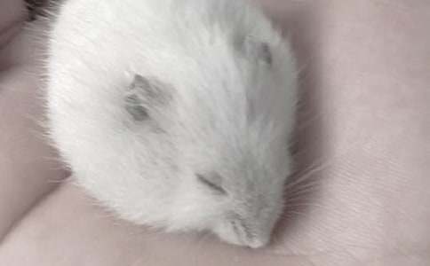 С�}���^����ӛ