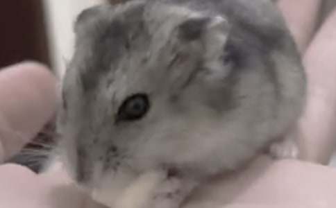 �}�����}�^����ӛ