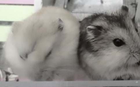 �}�����l�ļ�ͥ�L������