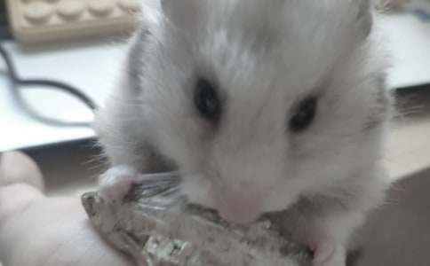 ����}����^����ӛ