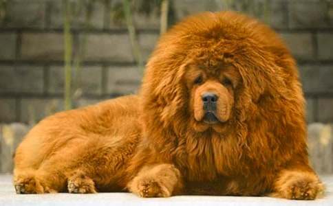 ����༪���^��з��ģ�ͨ��15ƪ��