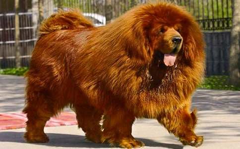 ��������600����ƪ