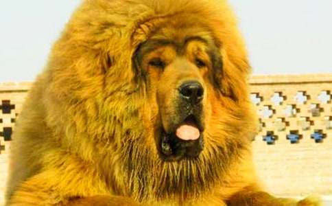 ����������ģ����x23ƪ��