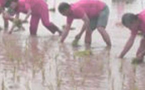 �P�ڲ�������300��10ƪ