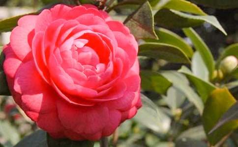 �軨��������