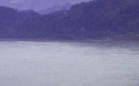 初中優美作文:長江水