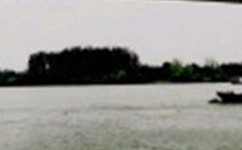 ���؂䡿�L������300����ƪ