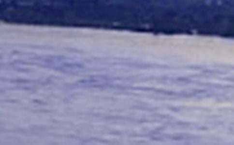 �����T���L������300��4ƪ