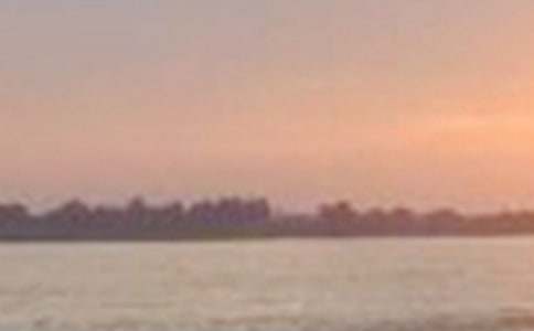 關于長江作文300字(精選15篇)