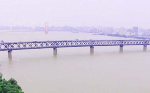 美麗的長江作文(集合15篇)