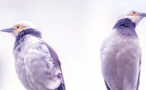 �cĸ�H�������ģ�ͨ��16ƪ��