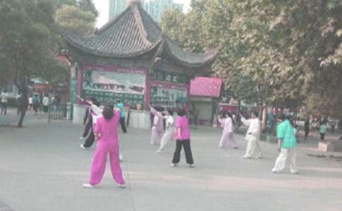 澤園晨練抒情作文