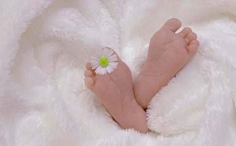 立出生命的姿態作文800字