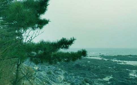 ���б����ڴ��L������ģ�ͨ��16ƪ��