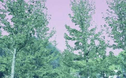 �����P�ڴ��L������ӛ���ă������ģ�ͨ��22ƪ��