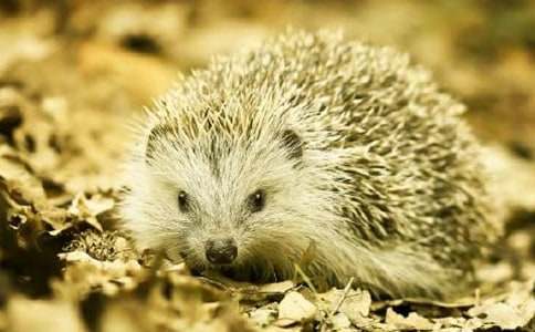 С��⬵�����ͯԒ����