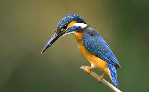 ���B�����ģ����x28ƪ��