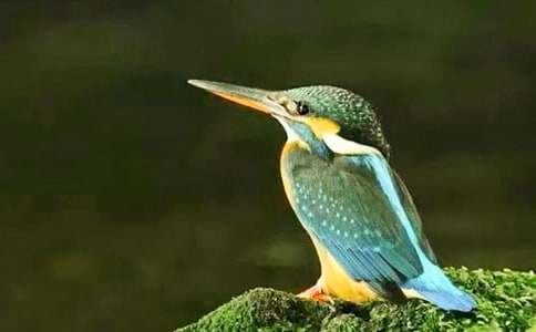 �����B���̌W�OӋ