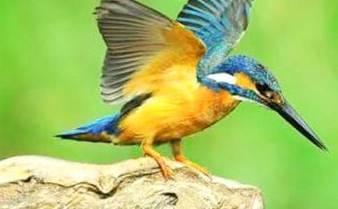 ���B����400��5ƪ