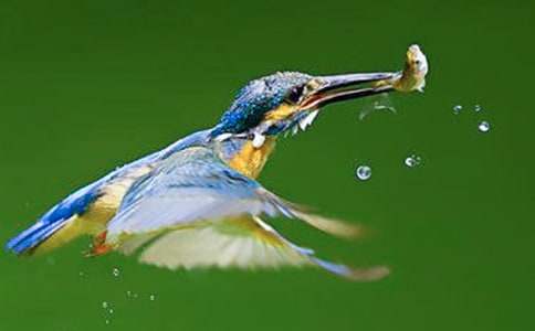 С�W�����Ĵ��B