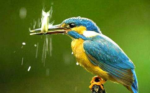 ���꼉�̰������B��