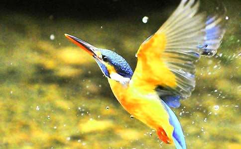 �����B������200�֣����x20ƪ��