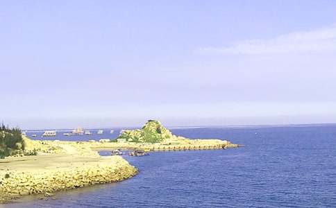 �ִ����ģ����x14ƪ��