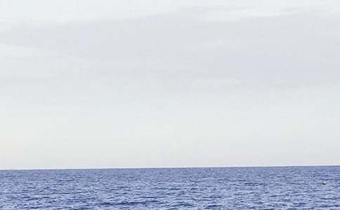 �P�ڴ��������ĺϼ�8ƪ