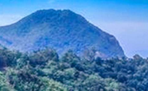 �����T����ɽ����500����ƪ