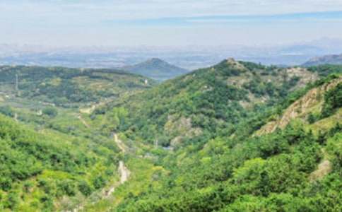 �茑��ɽ�ă�������