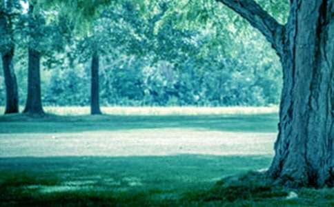 һ������Ĵ������