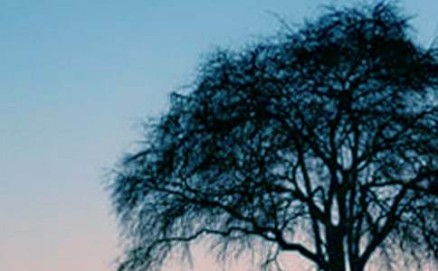 ���l��������