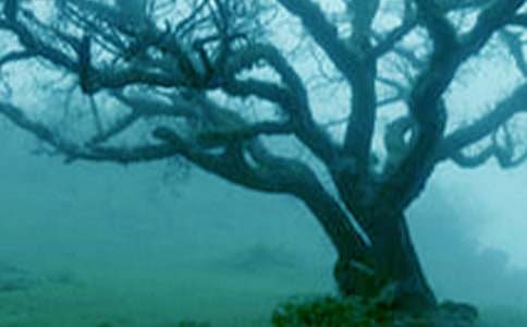 ���c���Č�Ԓ���ģ����x15ƪ��