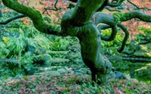 ��������������600�֣����x21ƪ��