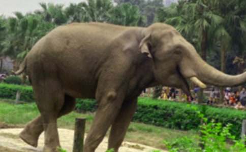 Λρ�ʹ���ͯԒ���ģ�ͨ��25ƪ��