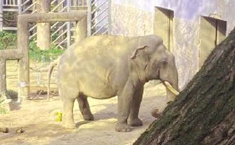 �Ǻʹ�������9ƪ