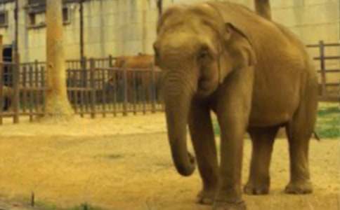 ������g���p�̰������󲮲��Ұ顷