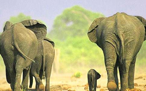 �P�ڴ���ͯԒ���ąR��10ƪ