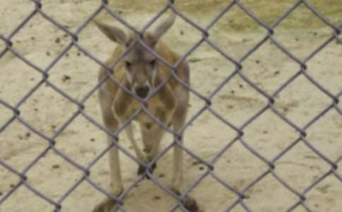 �������ԺͰ��Ï����Ĺ�������