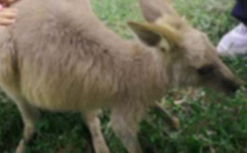 С���þ�С����С�W����