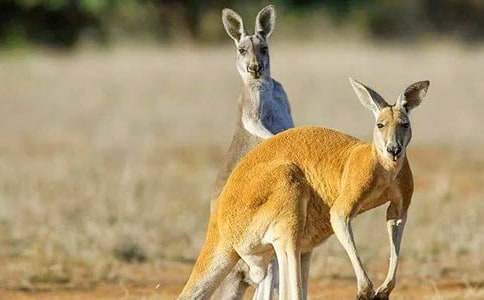 �P�ڴ�������300����ƪ