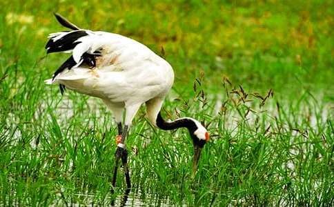 ����Q����400�֣�ͨ��17ƪ��