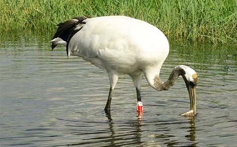 ����Q����600�ֺϼ���ƪ