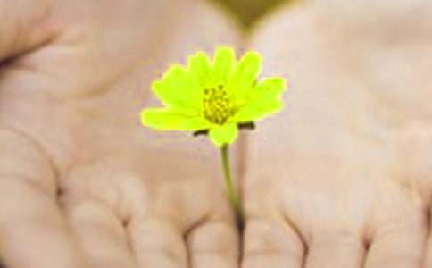 ���˵�Ǹ�ţ�ͨ��25ƪ��