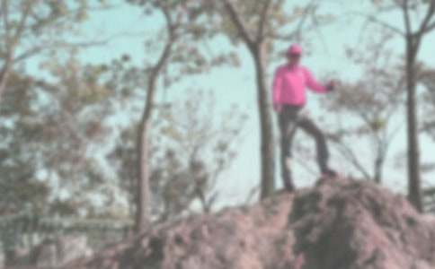 �Ҹ��ܵܵĵ�ɽӛ����